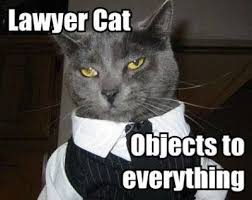Pin by Sassy Cat Web Design on Funny Cat Memes | Pinterest ... via Relatably.com