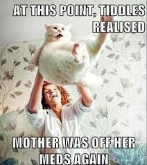 Crazy cat lady on Pinterest | Cat Ears, Cat Ring and Cats via Relatably.com