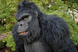 Image result for gorilla costume