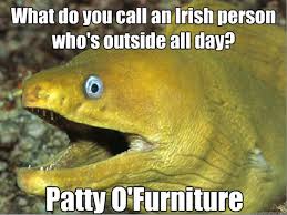 Bad Joke Eel on puns lol | Irish Jokes | Pinterest | Jokes, Puns ... via Relatably.com