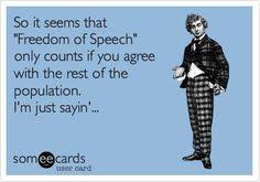 Freedom Of Speech on Pinterest | Liberal Logic, Political Quotes ... via Relatably.com