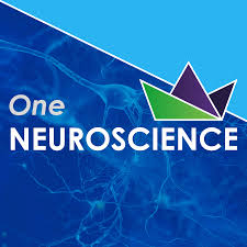 One Neuroscience