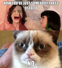 Grumpy cat songify this when? | Grumpy Cat | Know Your Meme via Relatably.com