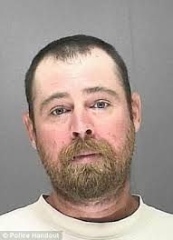 Neighbor: Andrew Straley, 34, told officers he often shot at the cats with a pellet gun but was not trying to kill them, only scare them - article-2292896-18A35790000005DC-217_306x423