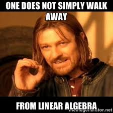 One does not simply walk away from linear algebra - Does not ... via Relatably.com
