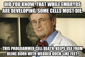Did you know, that while embryos are developing, some cells must ... via Relatably.com