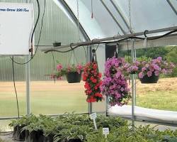 Image of Direct vent greenhouse heater ON lbwhite.com