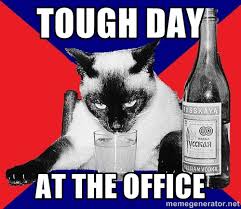 TOUGH DAY AT THE OFFICE - Alco-cat | Meme Generator via Relatably.com