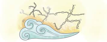 Transposons: Your DNA that's on the go - Science in the News