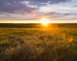 Gambar Tallgrass Prairie National Preserve