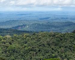 Image of Amazon Rainforest, Ecuador