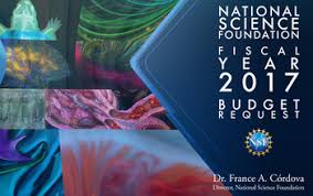 Image result for national science foundation