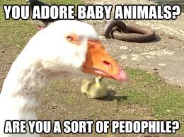 distrustful goose memes | quickmeme via Relatably.com