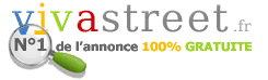 Résultat de recherche d'images pour "petit logo vivastreet"