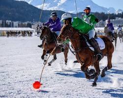 Image of Snow Polo World Cup in St. Moritz, Switzerland