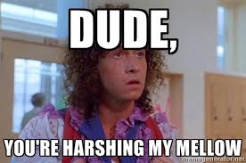 Dude, You&#39;re harshing my mellow - Pauly Shore | Meme Generator via Relatably.com