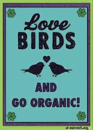 Image result for pesticides and bird
