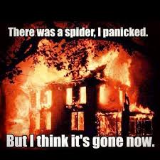 Image result for afraid of spider . house burning picture
