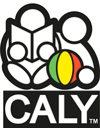Image result for caly globe