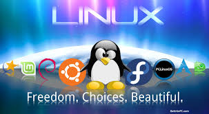 Resultado de imagem para linux