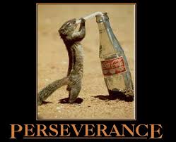 Image result for perseverance