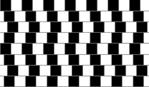 Résultat de recherche d'images pour "illusion d'optique"