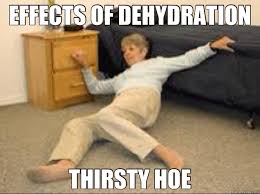 EFFECTS OF DEHYDRATION THIRSTY HOE - Life Alert - quickmeme via Relatably.com