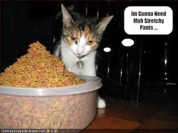 Image result for cats eating christmas dinner