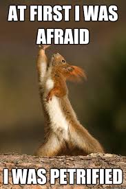 At first I was afraid I was petrified - Shakespeare Squirrel ... via Relatably.com