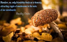 Bradley Chicho Biography, Bradley Chicho&#39;s Famous Quotes ... via Relatably.com