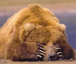 Картинки по запросу ведмідь