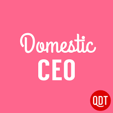 Domestic CEO's Quick & Dirty Tips to Managing Your Home