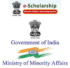 Image result for minority scholarship