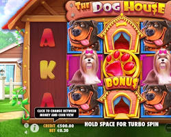 Dog House slot game