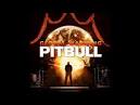 Pitbull - Tchu Tchu Tcha Ft. Enrique Iglesias (Music Video) -