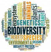 Image result for biodiversity poster