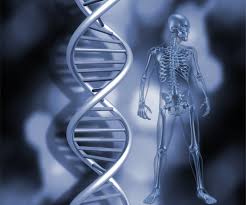 Image result for genetic testing
