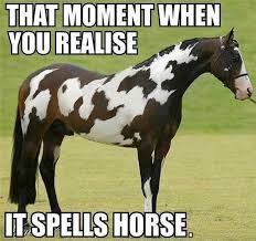 Funny-Horse-Memes-03.jpg via Relatably.com