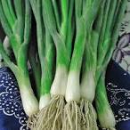 onion stem