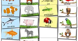 Animal Classification and Sorting Activity | Totschooling - Toddler ...