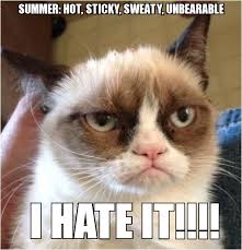 Summer Sucks - WeKnowMemes Generator via Relatably.com