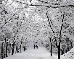 칠갑산도립공원 풍경, AI로 생성