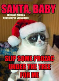 Grumpy Cat on Pinterest | Grumpy Cat Meme, Grumpy Cat Quotes and ... via Relatably.com