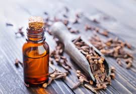 Image result for clove essential oil