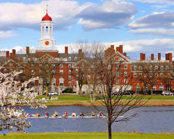 Harvard University Cambridge, Massachusetts