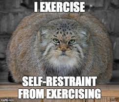 Fat Cats Exercise - Imgflip via Relatably.com