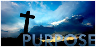 Image result for purpose