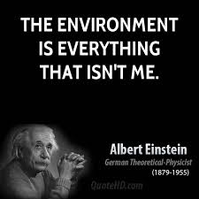 Best Environmental Quotes. QuotesGram via Relatably.com