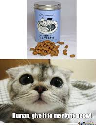 Impatient Cat by recyclebin - Meme Center via Relatably.com