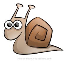 Image result for snail